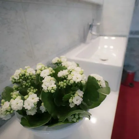 Deluxe Apartma Jana Ljubljana