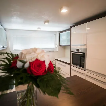 Apartment Deluxe Apartma Jana Ljubljana